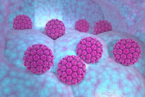 درباره HPV (ویروس پاپیلومای انسانی)