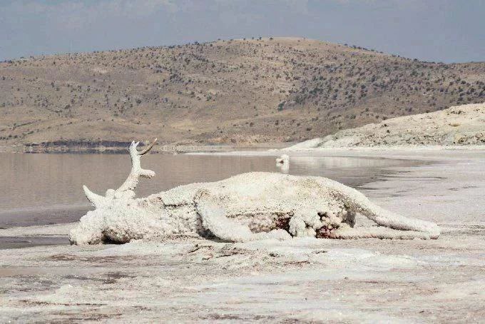 خشک شدن دریاچه ارومیه چه پیامدهایی دارد